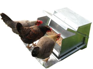 Grandpa's Feeders Automatic Chicken Feeder