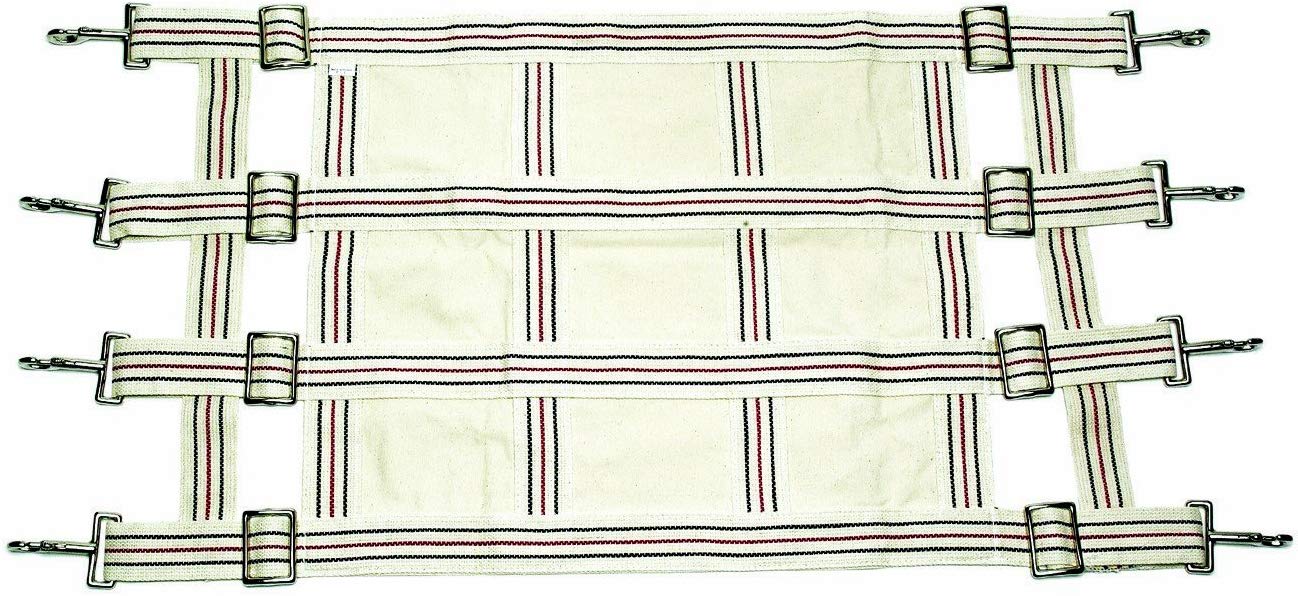 The Best Horse Stall Guards — TheFifty9