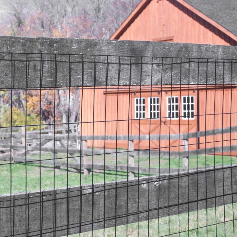 The Best Fences for Goats — TheFifty9