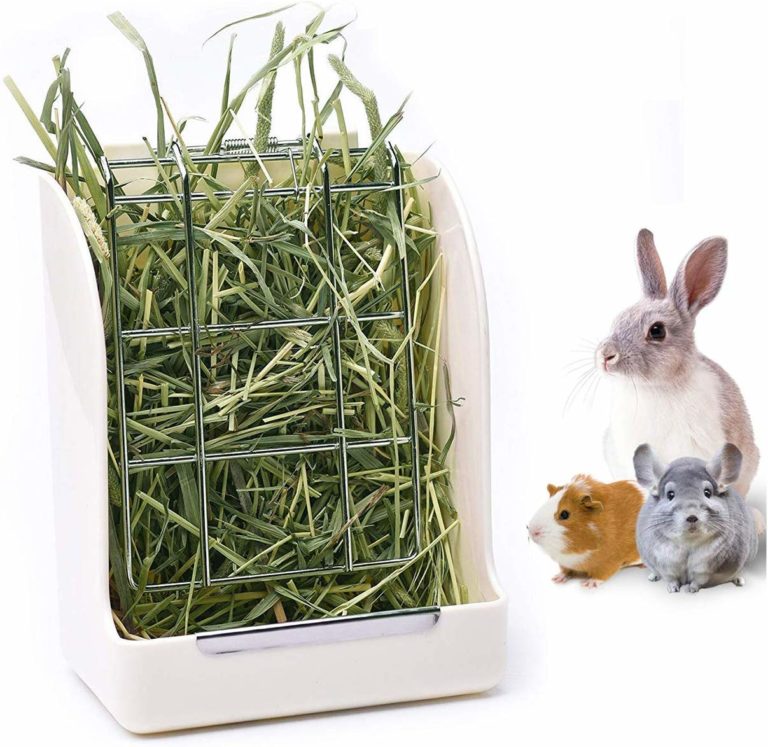 The Best Rabbit Hay Feeders — TheFifty9