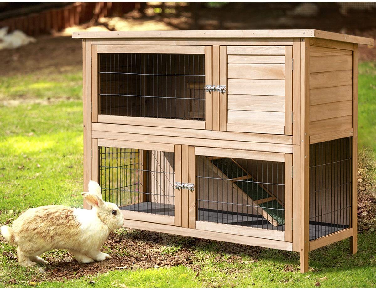 The Best Rabbit Fences — TheFifty9