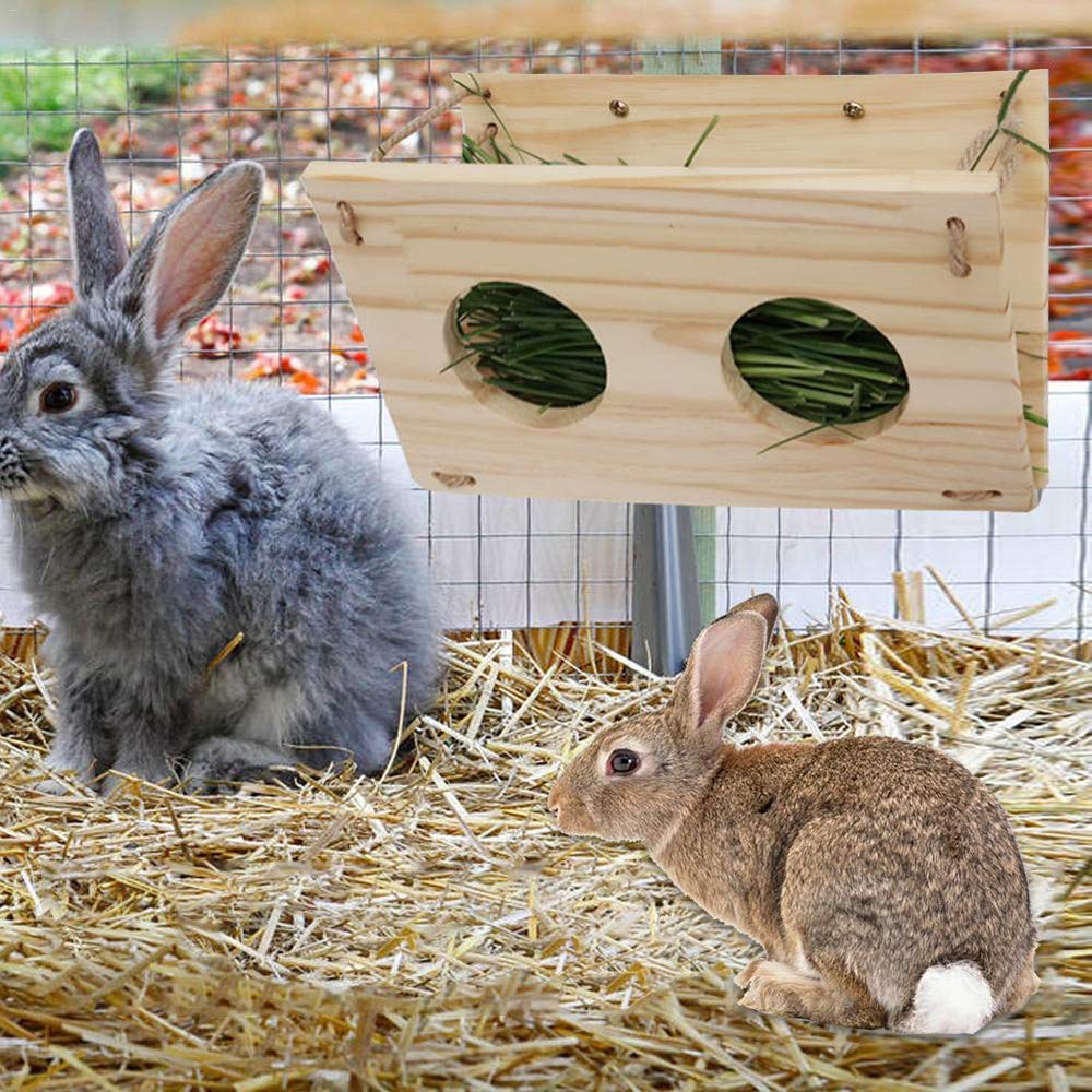 The Best Rabbit Hay Feeders — TheFifty9