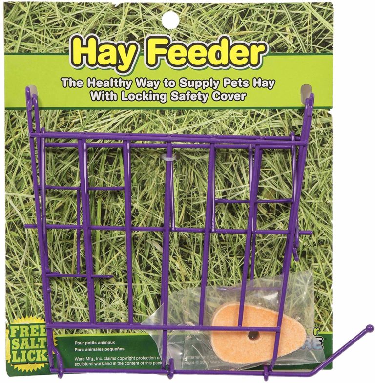 The Best Rabbit Hay Feeders — TheFifty9