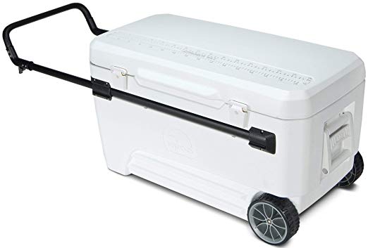 best rolling cooler for sand