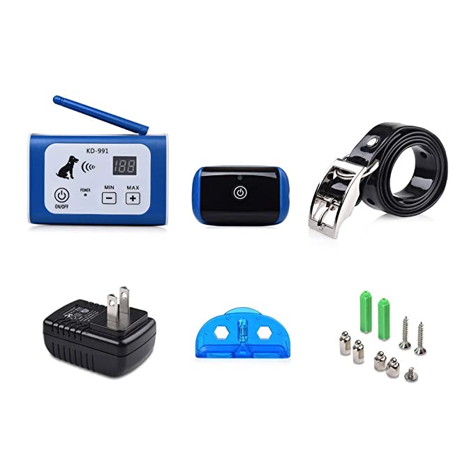 The Best Wireless Fences for Dogs — TheFifty9