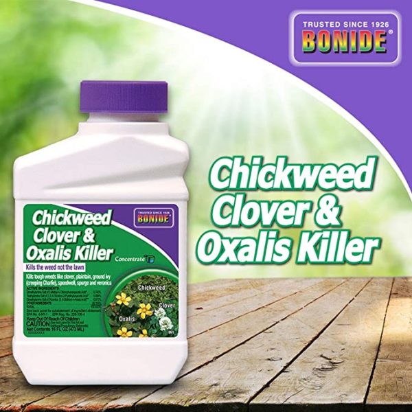 The Best Broadleaf Weed Killers — TheFifty9
