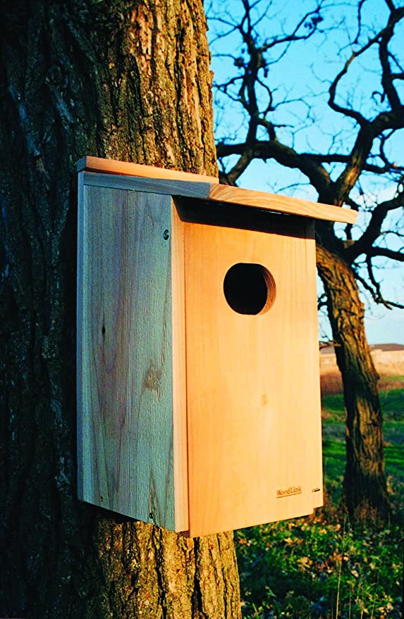 The Best Duck Houses — TheFifty9