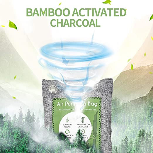 The Best Charcoal Air Purifiers — TheFifty9